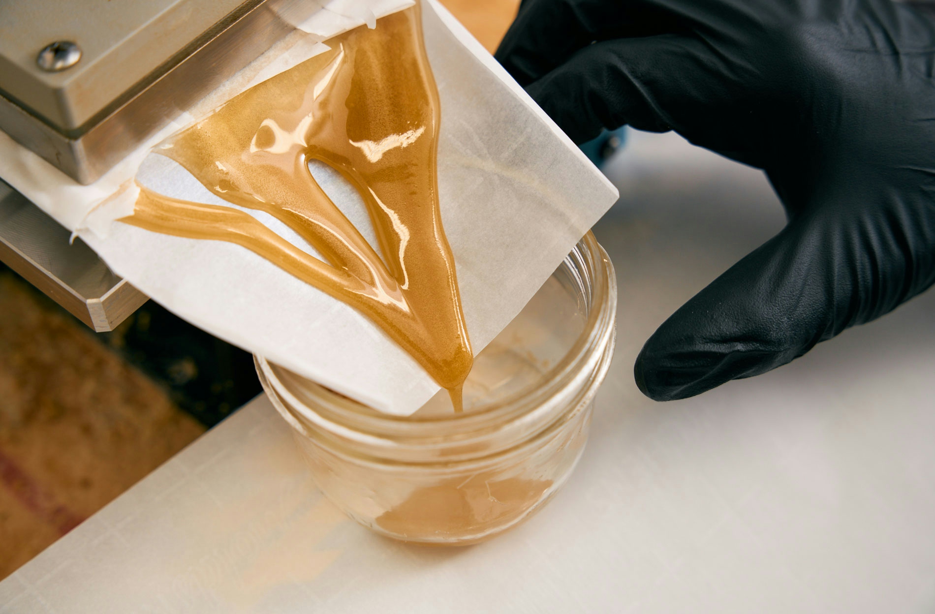 Person collecting rosin into a glass mason jar using a press and wearing black gloves