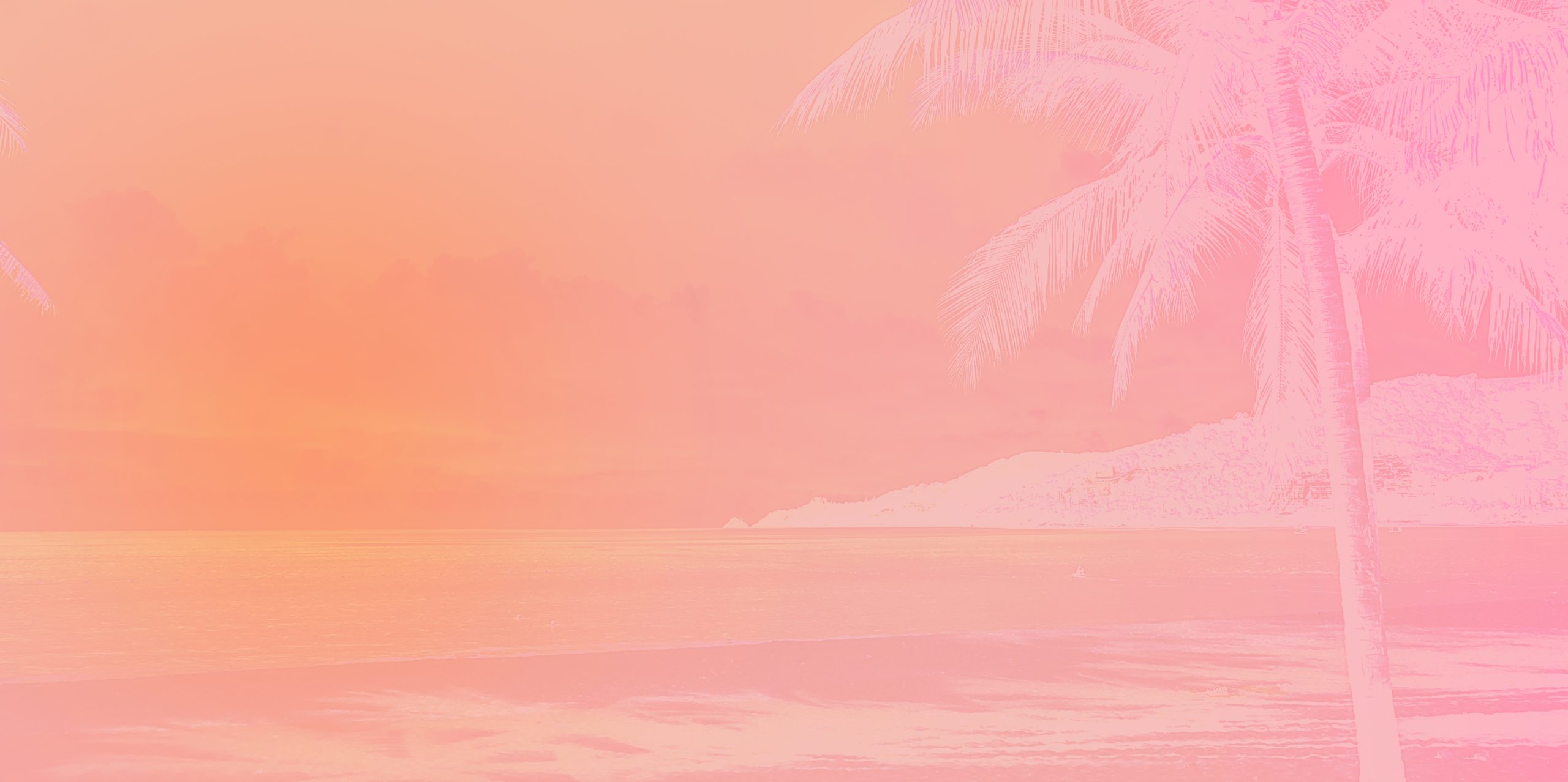 pink background image of beach with palm trees